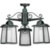 Стеклянный потолочный светильник уличный FRANKFURT I 27370A 3 02 V прозрачный Oasis Light Стеклянный потолочный светильник уличный FRANKFURT I 27370A 3 02 V прозрачный Oasis Light