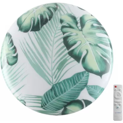 Настенно-потолочный светильник Flori 7748/DL Sonex Настенно-потолочный светильник Flori 7748/DL Sonex