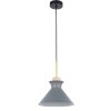 Стеклянный подвесной светильник Kristina MR1351-1P серый