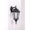 Стеклянный настенный фонарь уличный ASTORIA 2M 91402M Bl овал прозрачный Oasis Light