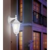 Стеклянный настенный фонарь уличный Laterna 5 22462 Eglo