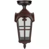 Стеклянный потолочный светильник уличный PORTO 86105A R прозрачный Oasis Light Стеклянный потолочный светильник уличный PORTO 86105A R прозрачный Oasis Light
