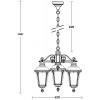 Стеклянный уличный светильник подвесной  79750S/3 Gb прозрачный Oasis Light