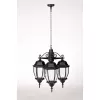 Стеклянный уличный светильник подвесной 91270L/3 Bl прозрачный Oasis Light Стеклянный уличный светильник подвесной 91270L/3 Bl прозрачный Oasis Light