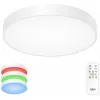Потолочный светильник Купер CL72495G0 белый Citilux