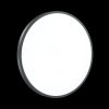 Настенно-потолочный светильник Smalli 3012/DL белый Sonex