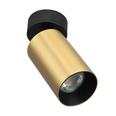 Спот Axel CL512212 Citilux
