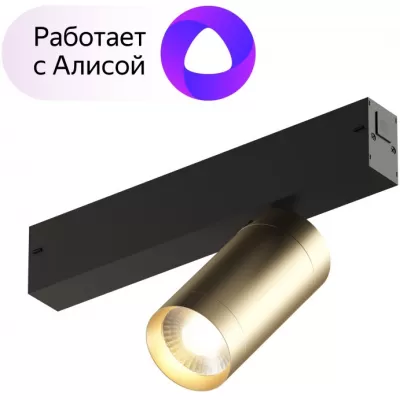 Трековый светильник Smart Spot DK8010-BG Denkirs дания