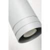 Подвесной светильник Simon 754/2L BIA белый цилиндр Lampex