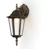 Стеклянный настенный фонарь уличный GARDEN ST2019 прозрачный Ambrella