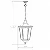 Стеклянный уличный светильник подвесной  79705L Bl прозрачный Oasis Light