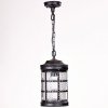 Стеклянный уличный светильник подвесной  81205 Bl прозрачный Oasis Light