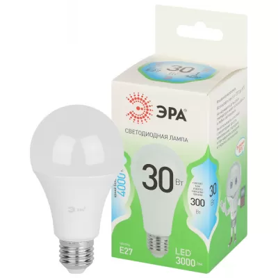 Лампочка светодиодная  LED A65-30W-840-E27 GL ЭРА