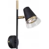 Стеклянное бра Trandy 4618-1W прозрачное конус F-Promo
