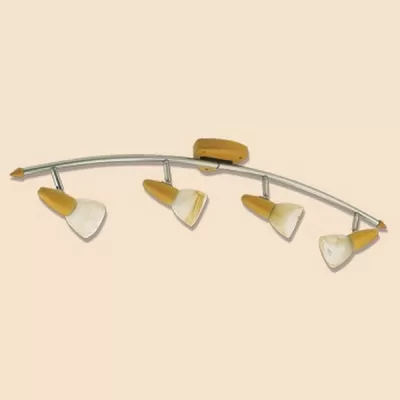 Спот Monte CL505541 Citilux