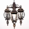 Стеклянный уличный светильник подвесной  83470L/3 Gb прозрачный Oasis Light