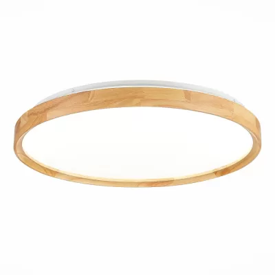 Потолочный светильник Delia SLE201382-01 Evoluce