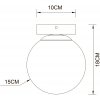 Стеклянный настенно-потолочный светильник Alcor A2224PL-1PB форма шар белый