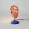 Интерьерная настольная лампа Magna Graecia 11527
