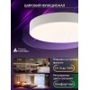 Потолочный светильник Modern LED LAMPS 81105/2C белый Natali Kovaltseva