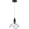 Стеклянный подвесной светильник Tango S111055.1StBlack прозрачный