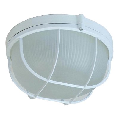 Настенно-потолочный светильник  НБП 03-60-002 ЭРА для бань и саун