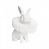 Ночник Bunny 10117/C Loft It