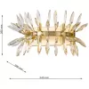 Хрустальный настенный светильник Rays 4058-6W прозрачный Favourite