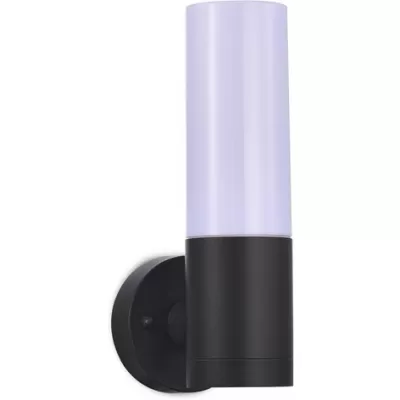 Настенный светильник уличный Gelato DL20472W9DG