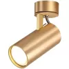 Спот Kiko 3876/1C цвет золото цилиндр Odeon Light