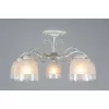 Стеклянная потолочная люстра Ferraro OML-54907-05 белая Omnilux