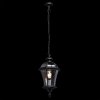 Стеклянный уличный светильник подвесной Сандра 811010301 черный DeMarkt