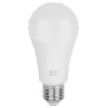 Лампочка светодиодная  LED A60-25W-830-E27 GL ЭРА