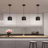 Подвесной светильник PEONY 039550 Arlight