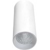 Точечный светильник Rollo DL18895R30N1W белый цилиндр