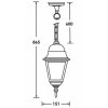 Стеклянный уличный светильник подвесной  79905S Bl прозрачный Oasis Light