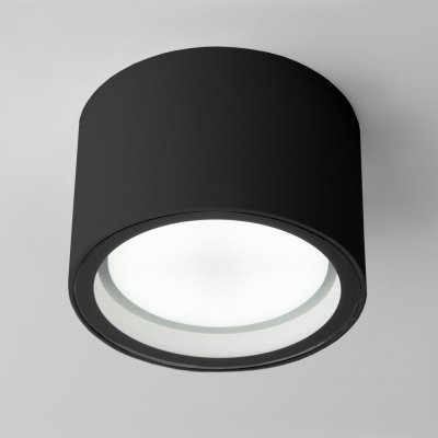 Потолочный светильник уличный Light 35144/H черный Elektrostandard