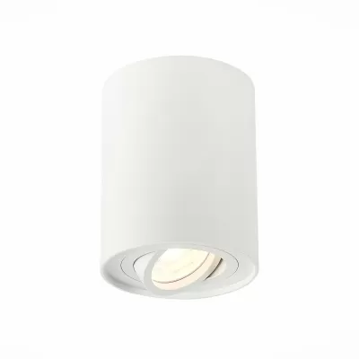 Точечный светильник Torus ST108.517.01 ST Luce