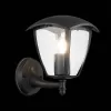 Настенный фонарь уличный Sivino SL081.401.01 прозрачный ST Luce