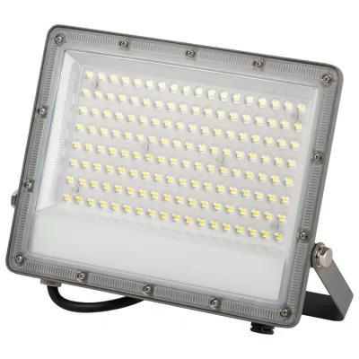 Прожектор уличный LPR-06 LPR-063-0-65K-100 ЭРА