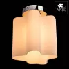Потолочный светильник Serenata A3479PL-1CC Artelamp