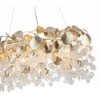 Стеклянная подвесная люстра Coins 5104/8 прозрачная Odeon Light