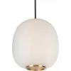 Стеклянный подвесной светильник Hive 10425 White форма шар белый Loft It