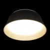 Потолочный светильник Evans 10224 Black белый Loft It
