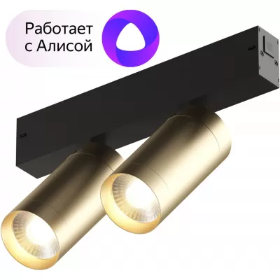 Трековый светильник Smart Spot DK8012-BG Denkirs