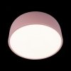 Потолочный светильник Axel 10201/350 Pink цилиндр белый Loft It