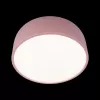 Потолочный светильник Axel 10201/350 Pink цилиндр белый Loft It