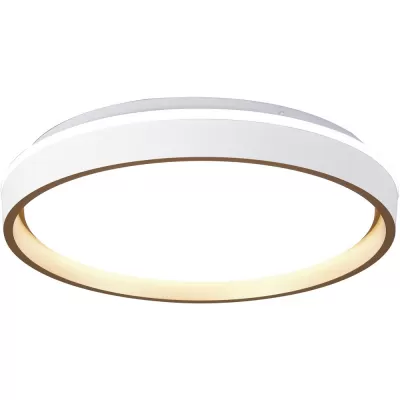 Потолочный светильник Verona 9028 Mantra