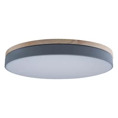 Потолочный светильник Axel 10001/36 Grey Loft It