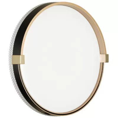 Настенно-потолочный светильник Olidi Black 7647/CL Sonex